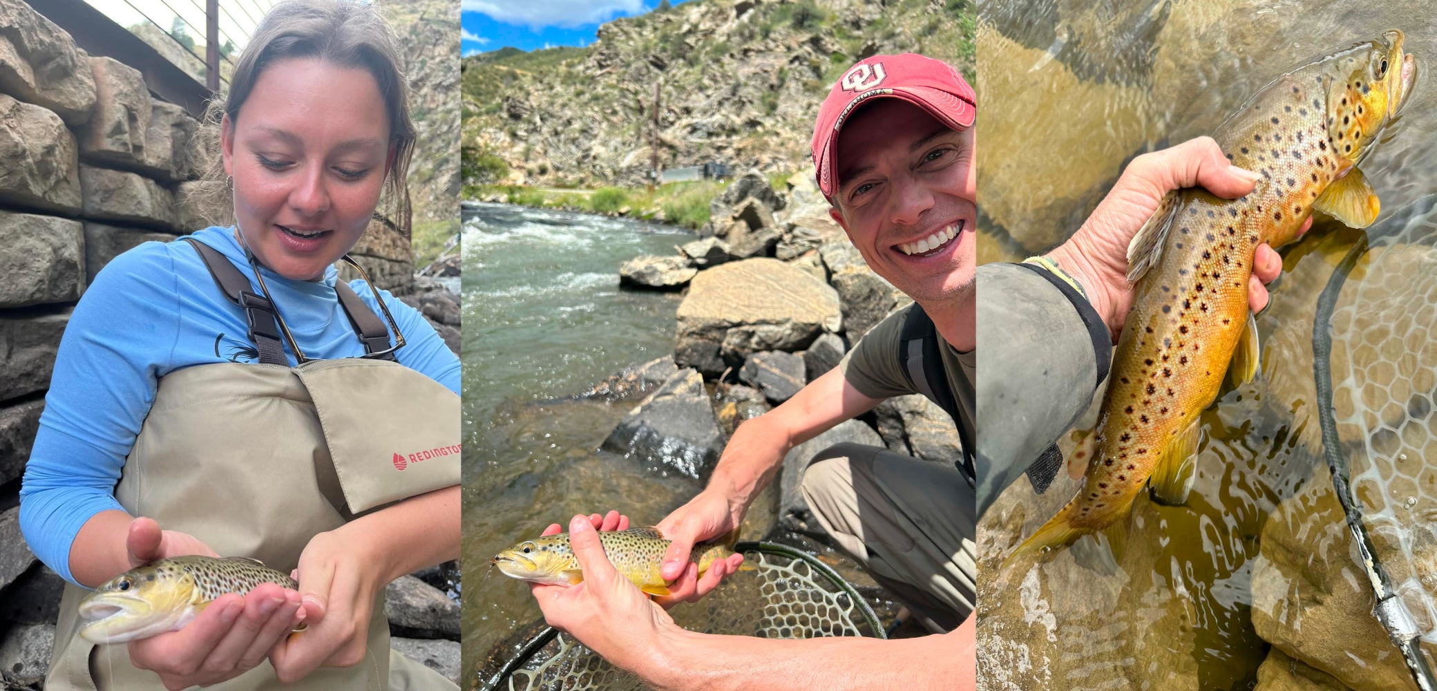 collage of guided wade fishing in colorado