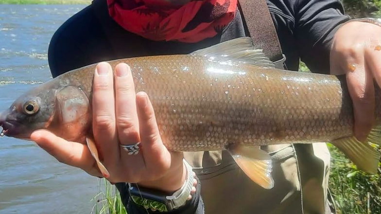 woman holds fish during colorado float fishing trip