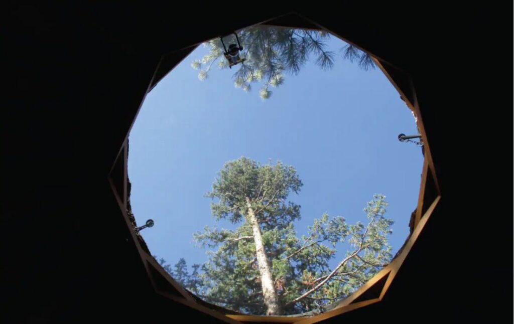skylight view of the trees and sky inside yurt near Denver