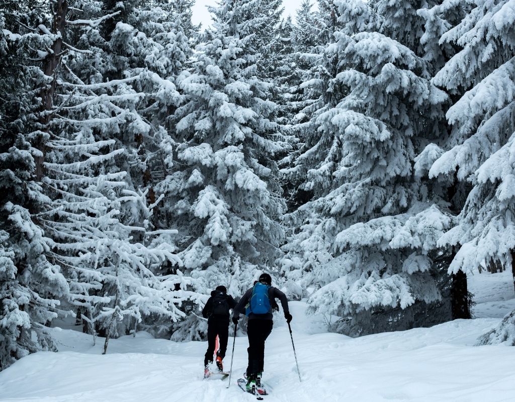 two people snowshoeing in a snowy forest